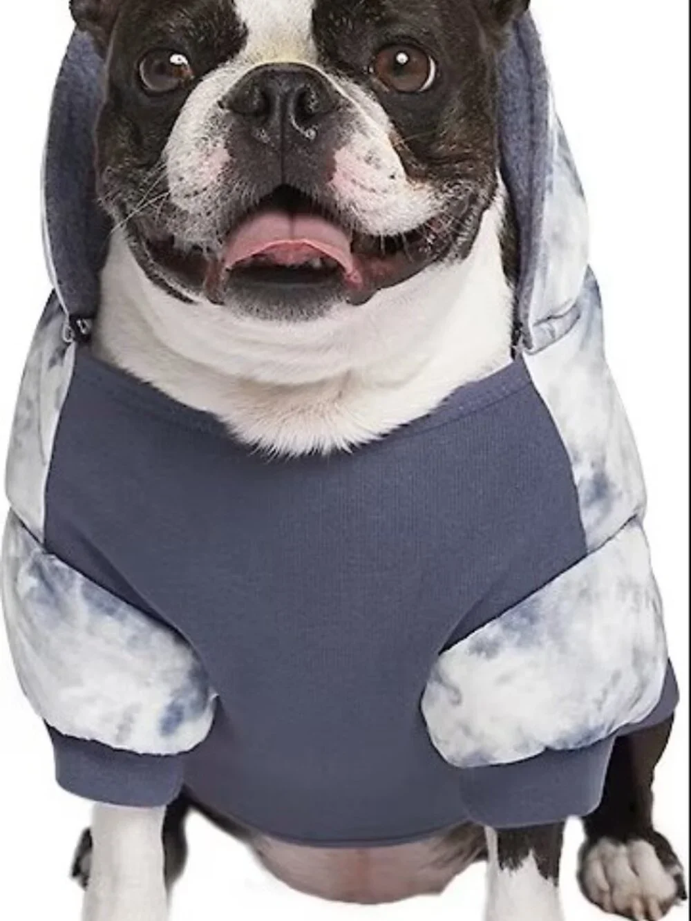 NWT Canada Pooch Prism Puffer Dog Jacket Grey Tie Dye Streetwear Gorpcore Sz 8